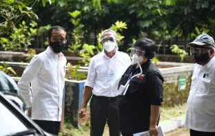 Pemerintah Bangun Persemaian Skala Besar untuk Green Economy