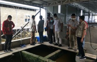 DPRD Kaltara Kunjungi Lokasi Tercemar Limbah Ubur-ubur